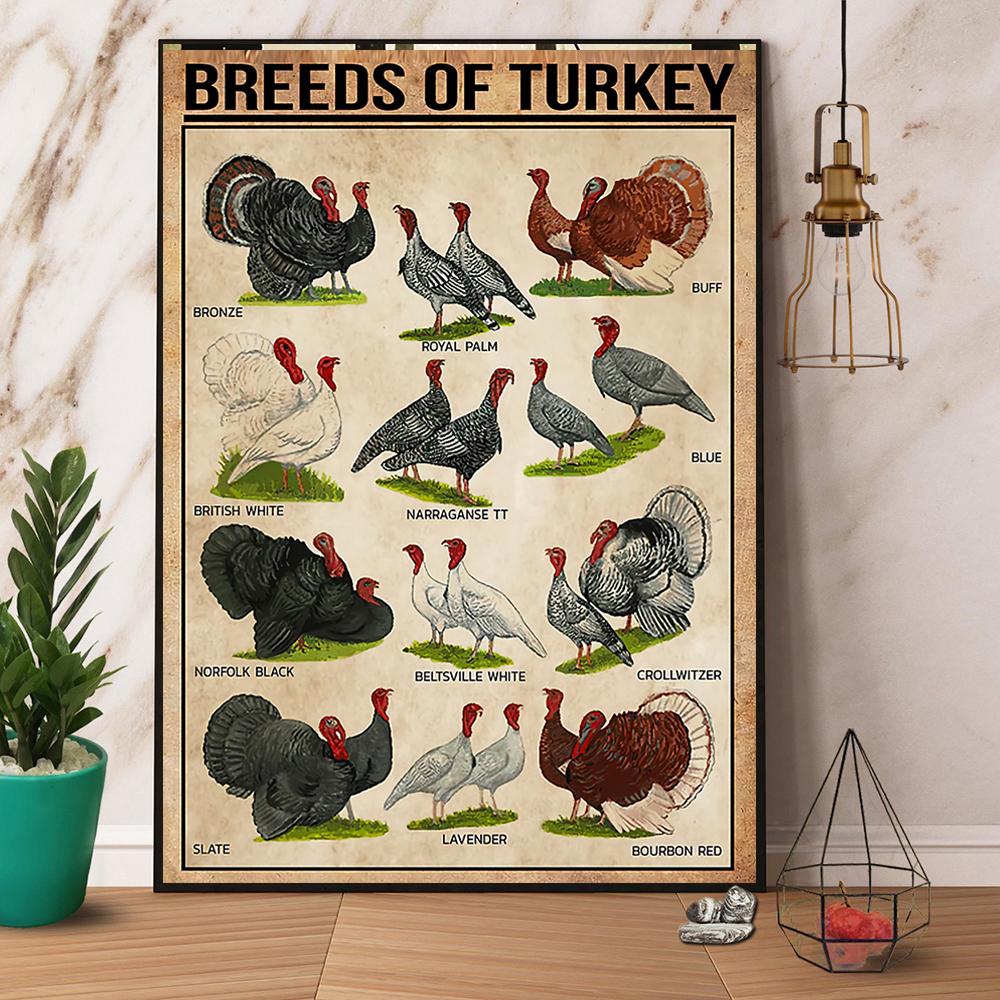 Breeds Of Turkey Lover Paper Poster No Frame Matte Wall Art Decor