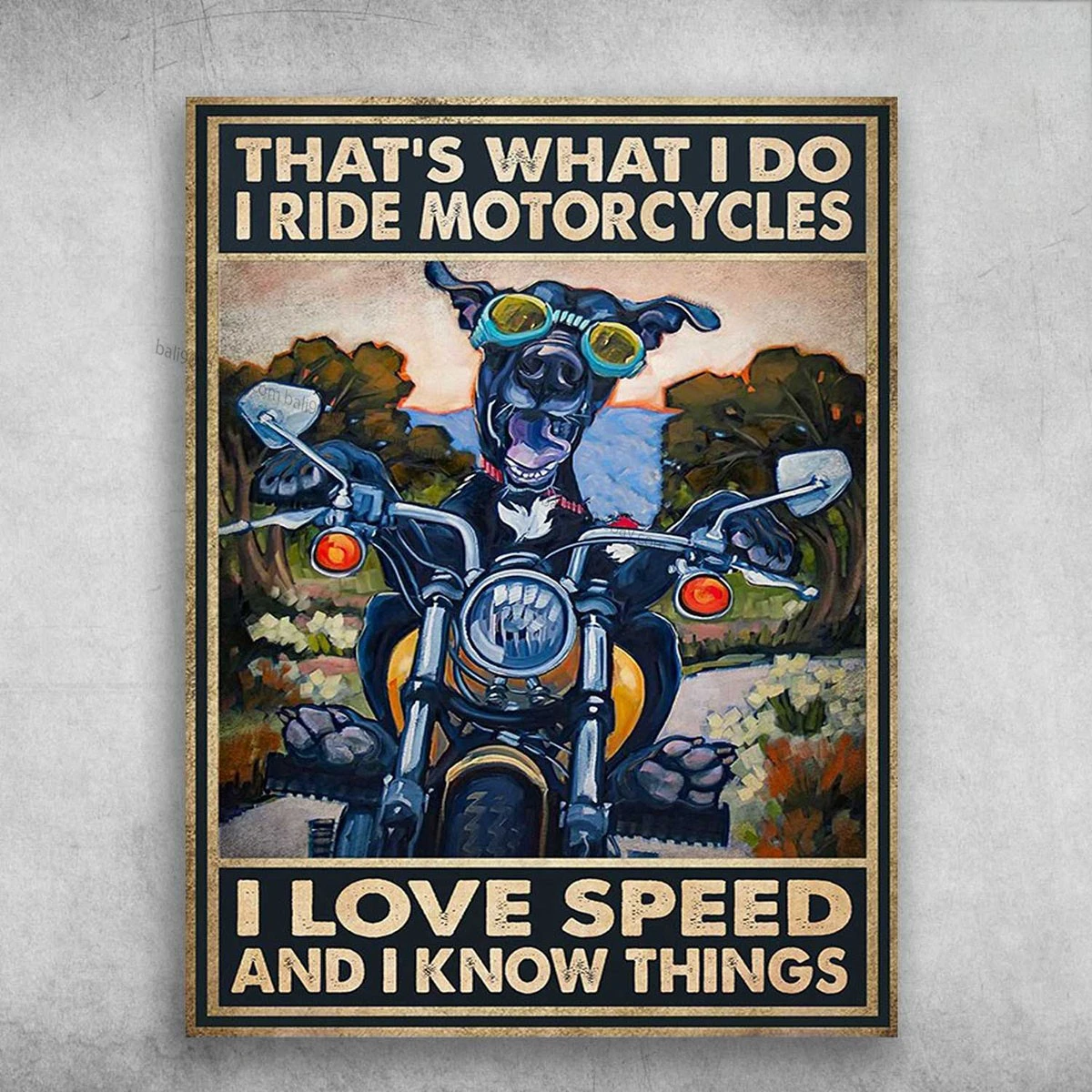 Dog Motorbike, Motorcycle Lover - That What I Do, I Ride Motorcycles, I Love ...