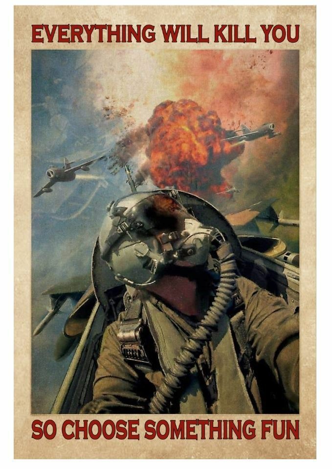 Fighter Aircraft Everything Will Kill You So Choose Something Fun Pilot Poster