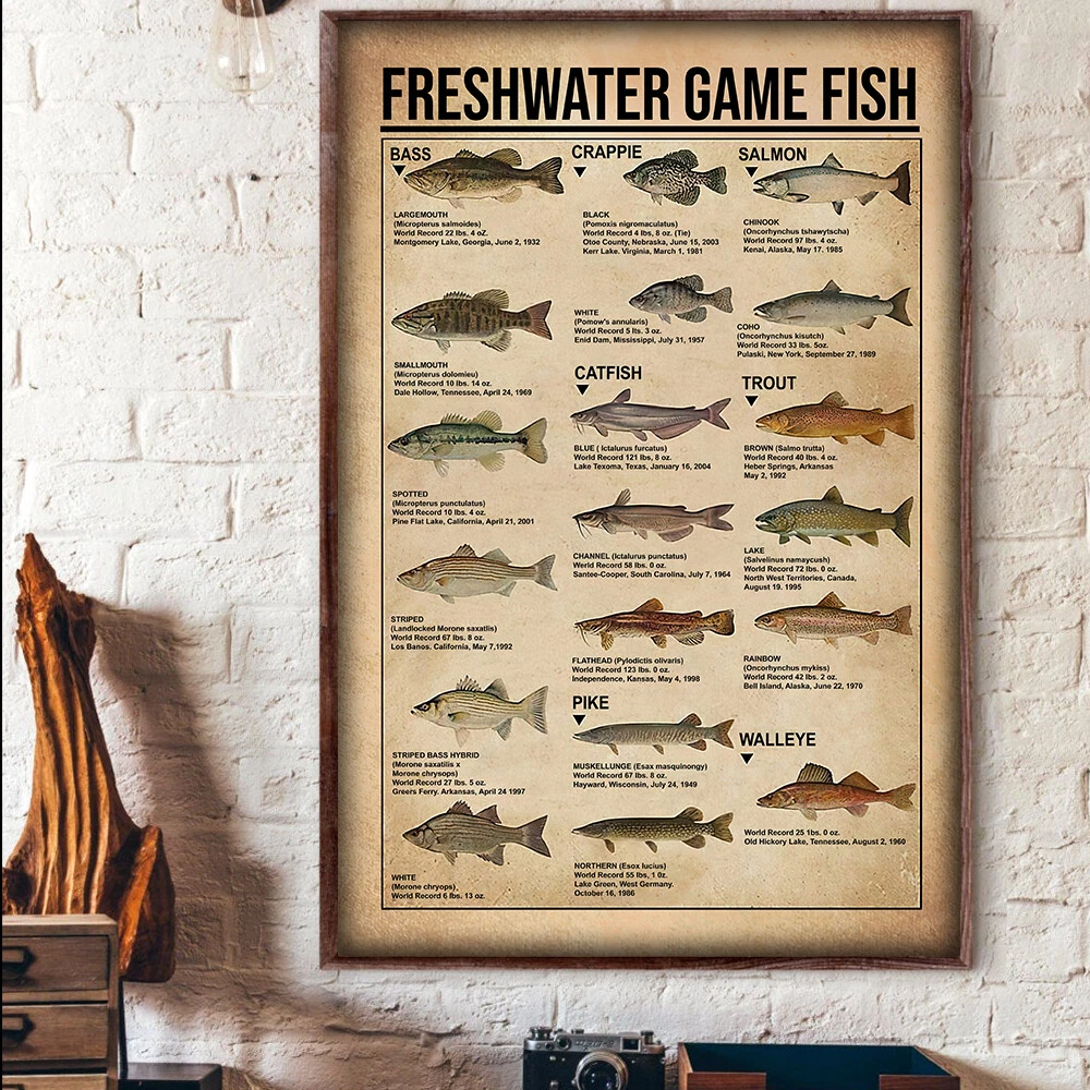 Fishing Knowledge Freshwater Game Fish Fisher Poster