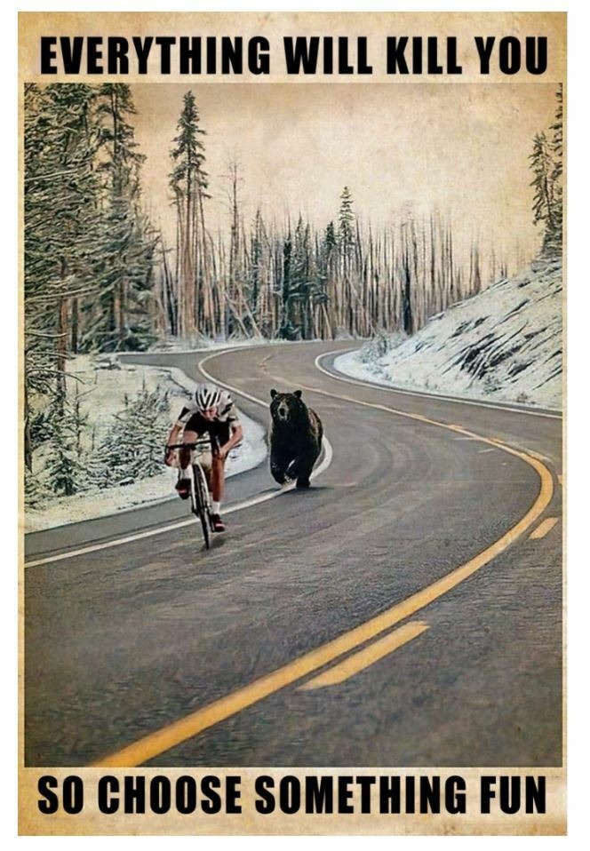 Funny Cycling Everything Will Kill You So Choose Something Fun Poster Wall Art