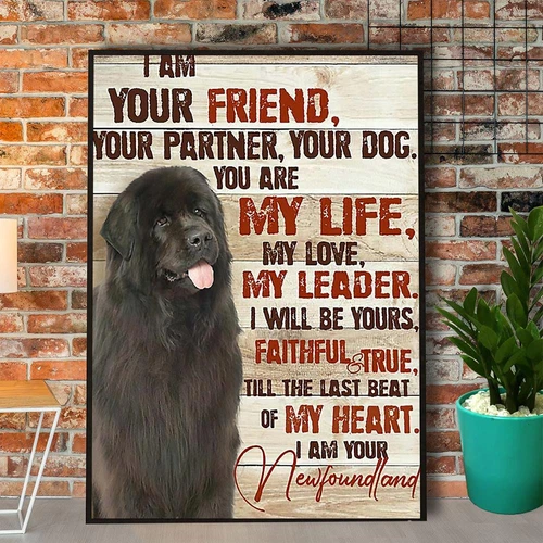Newfoundland I Am Your Friend Your Partner Paper Poster No Frame Matte Poster…